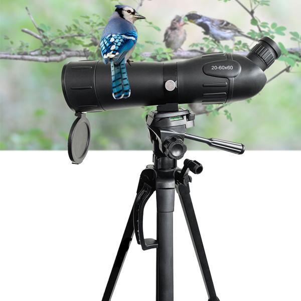 Lunette terrestre 20–60x60 mm, longue-vue avec trépied, niveau à bulle et housse – monoculaire d’observation des oiseaux pour porteurs de lunettes, observation de la nature, chasse, sport, set télescope